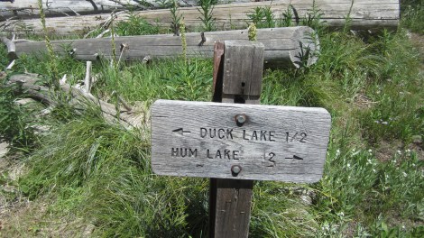 Hum Lake and Duck Lake Junction