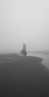 Oregon Coast Fog 2