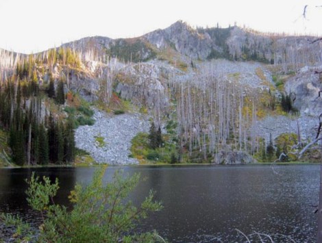 302943_2354452017113_1374397235_n