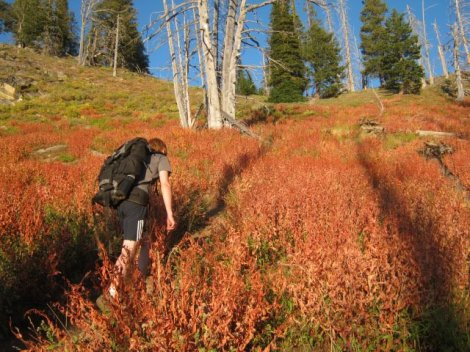 391008_2354453297145_101543125_n