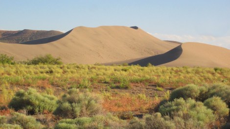 Bruneau Dunes
