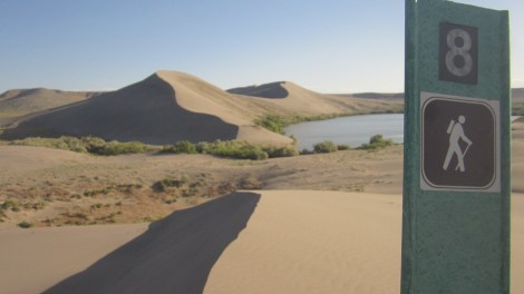 Bruneau Dunes