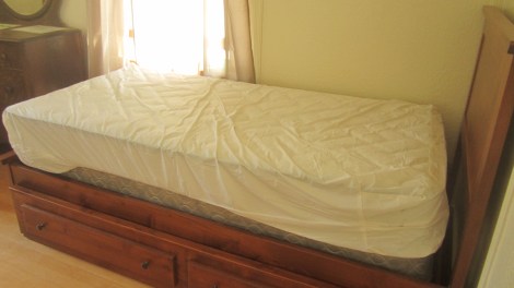 The Atlanta Cabin Idaho Bed